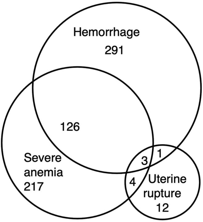 FIGURE 3