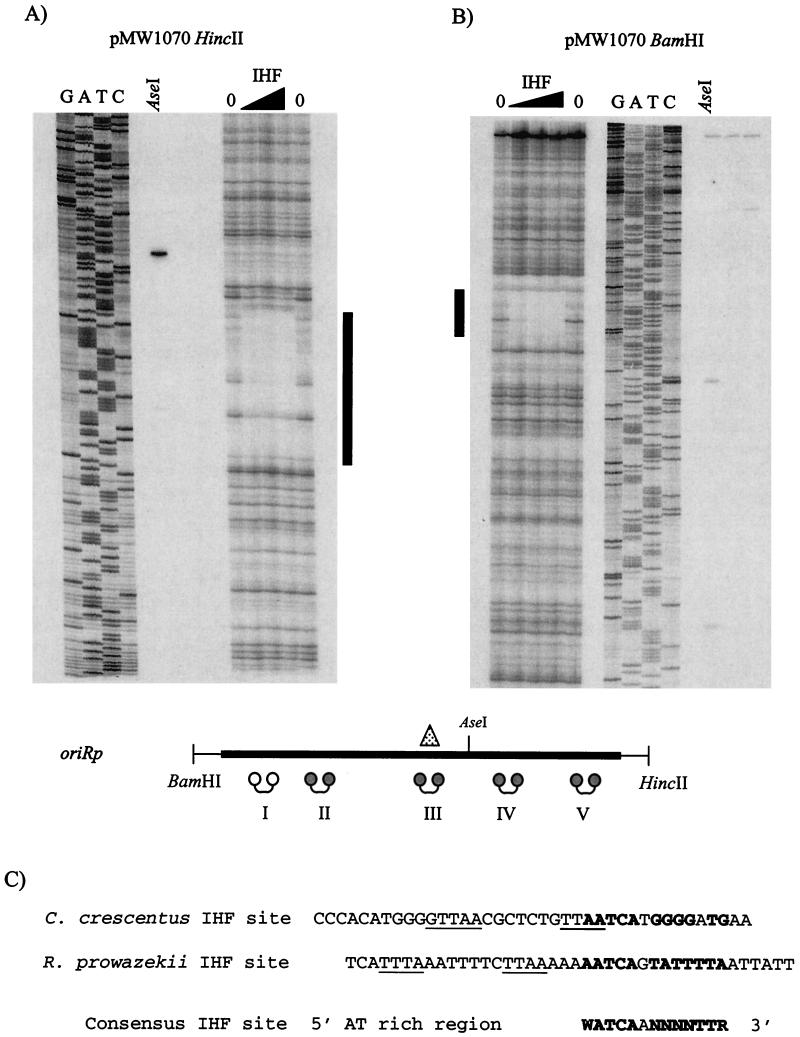 FIG. 5.