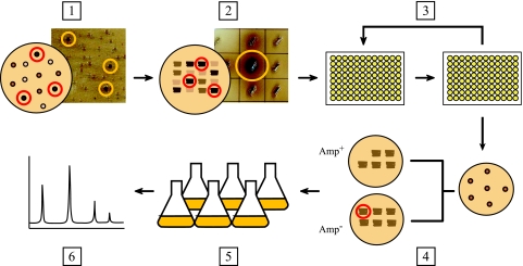 FIG. 7.