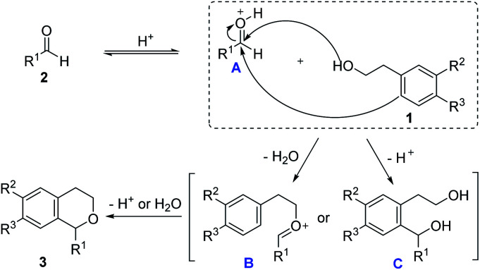 Scheme 3