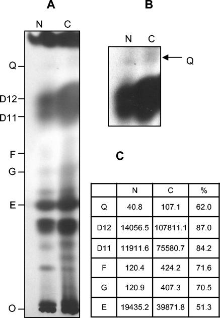 FIG. 5.