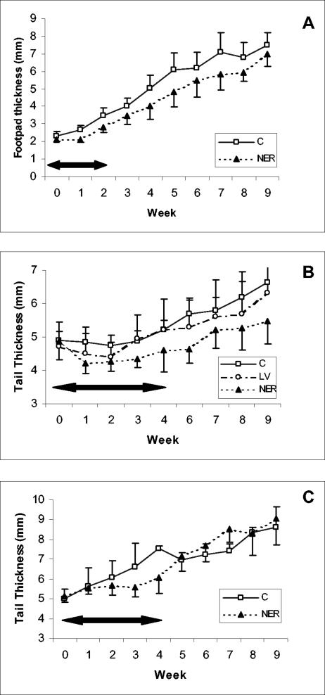 FIG. 7.