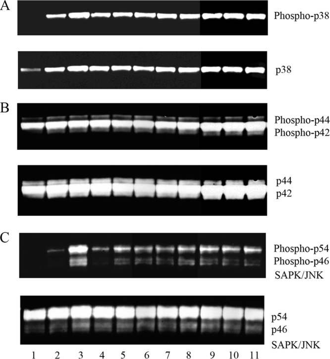 Fig 5