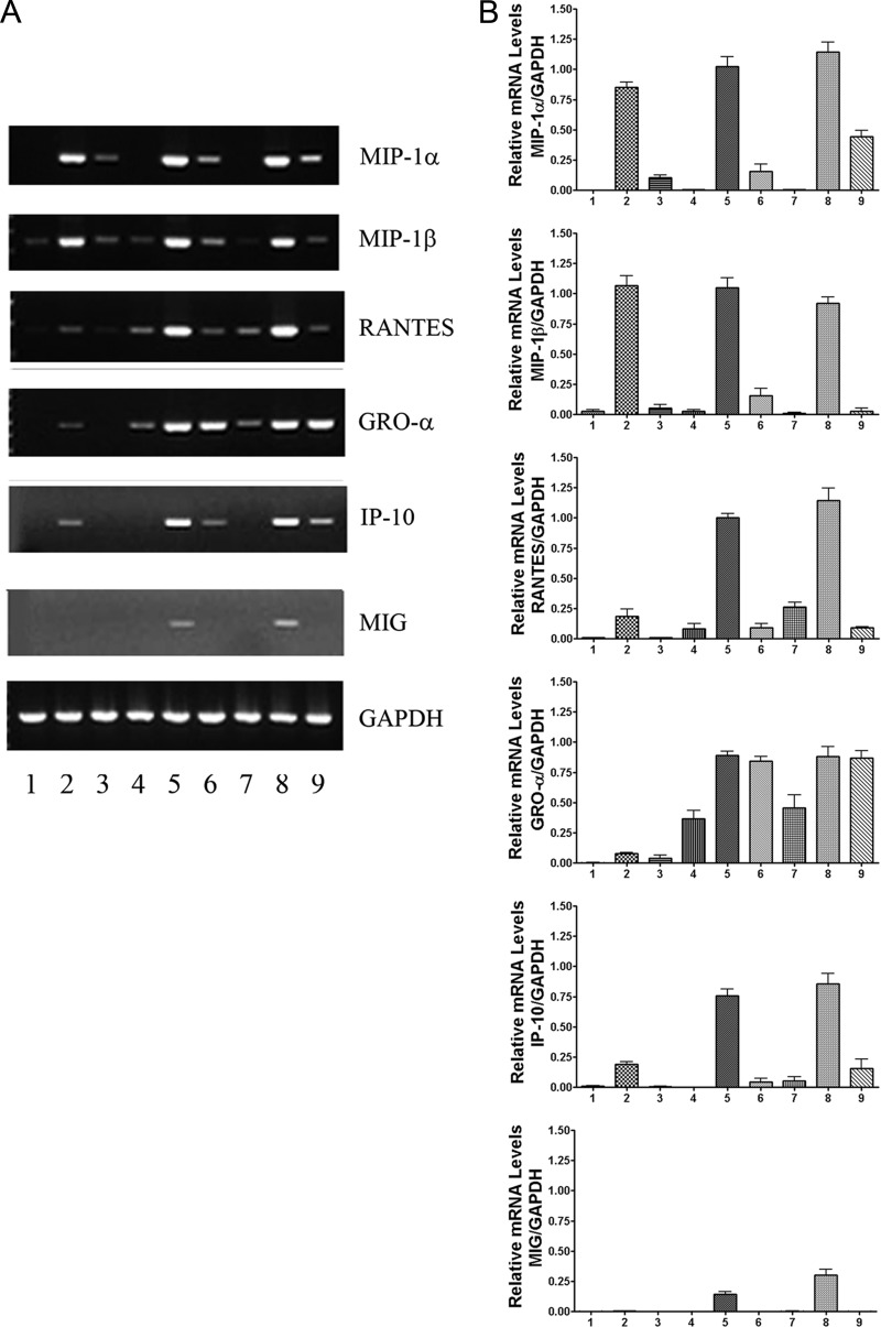 Fig 6