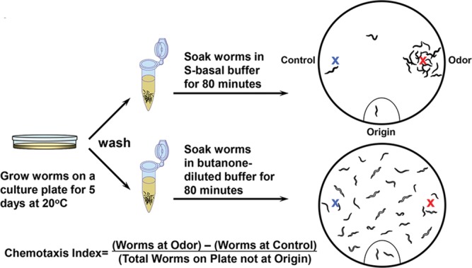 Figure 2.