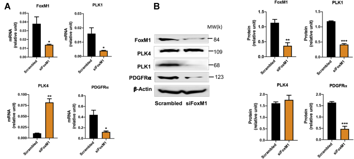 Figure 11