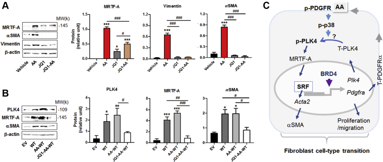 Figure 14