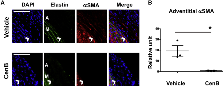 Figure 17