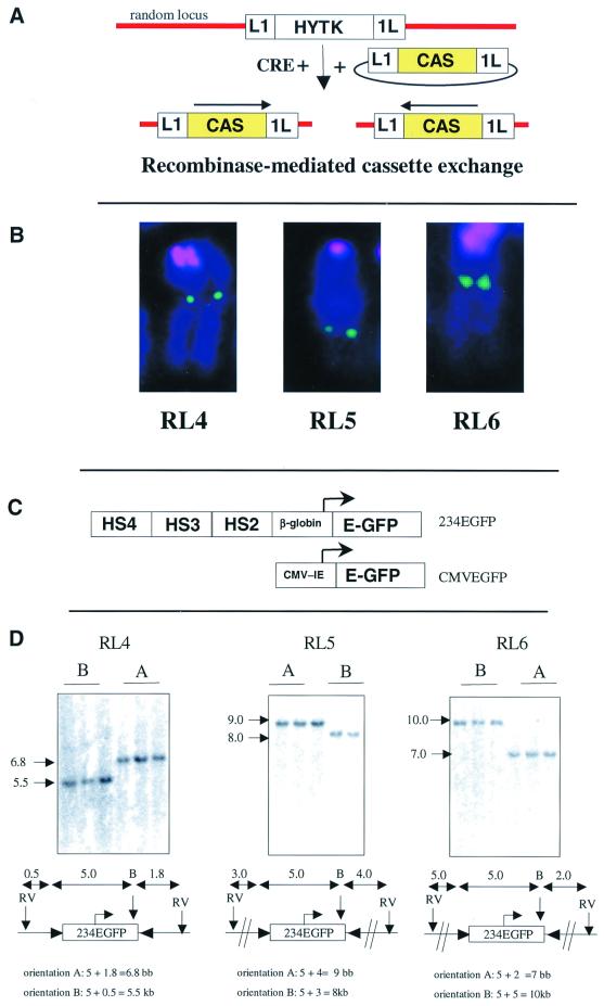 FIG. 1