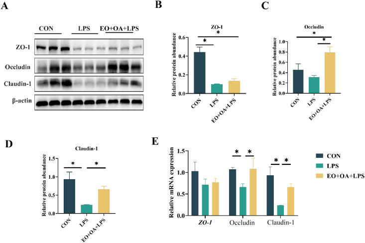 Fig. 3