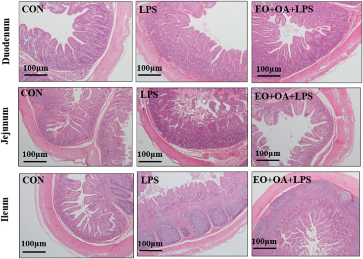 Fig. 2