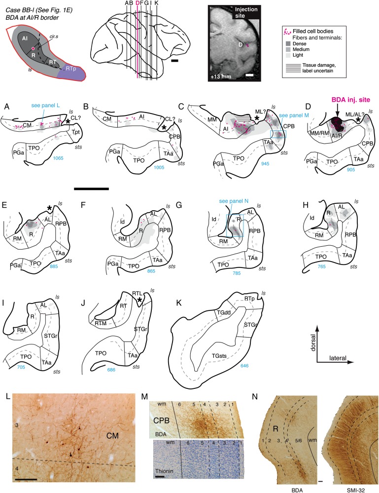 Figure 6.