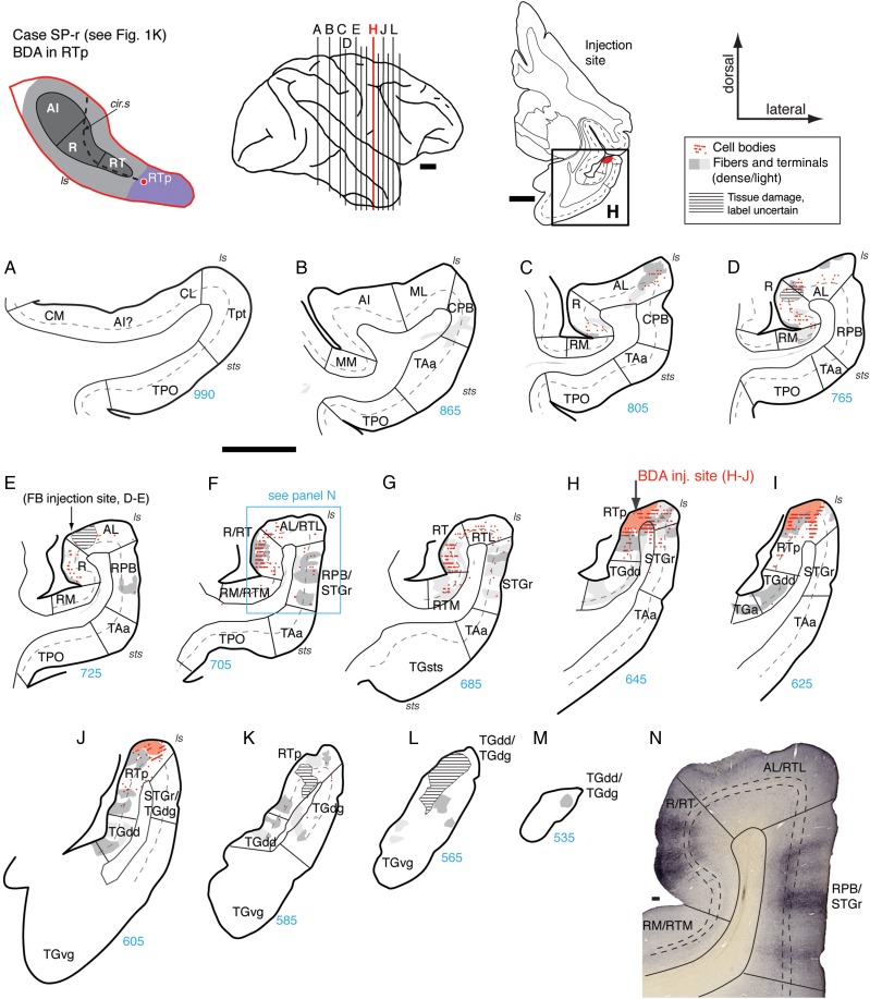 Figure 11.