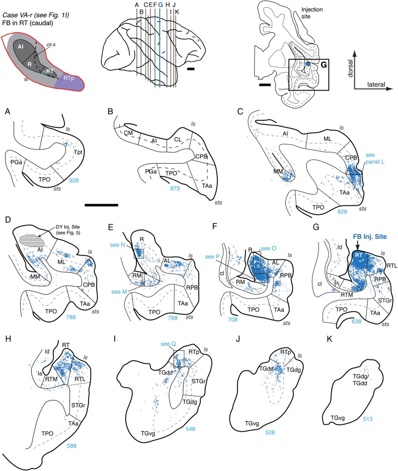 Figure 9.