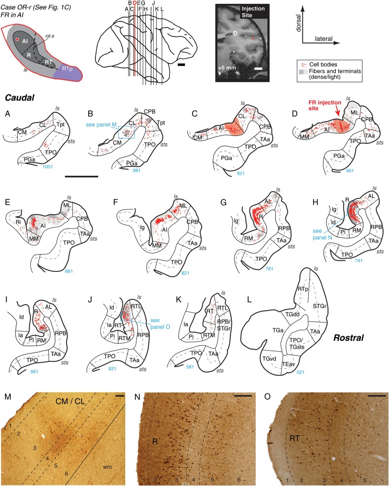 Figure 4.