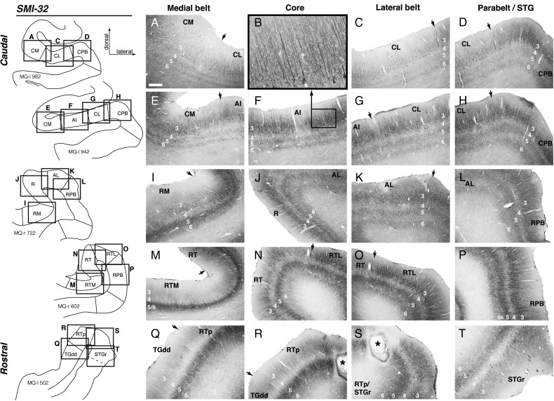 Figure 3.