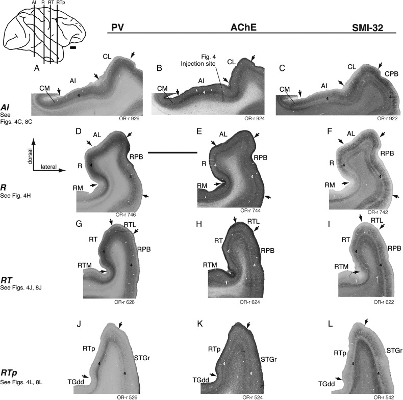 Figure 2.