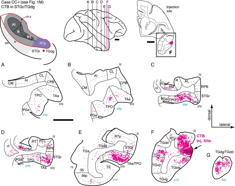 Figure 14.