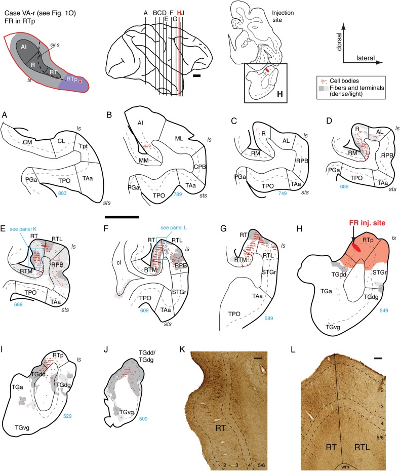 Figure 13.