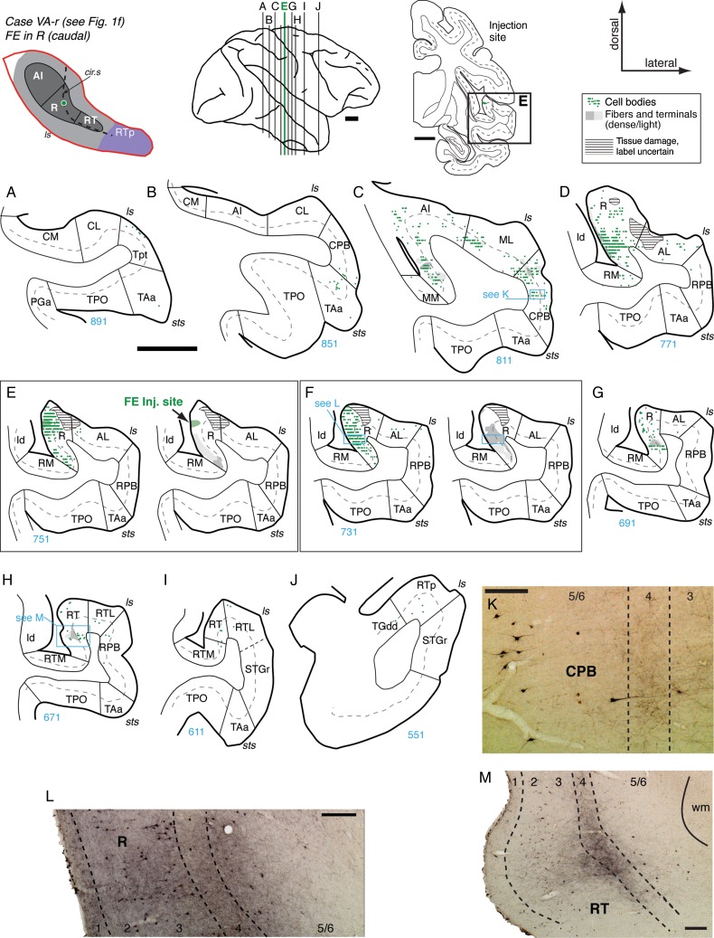 Figure 7.