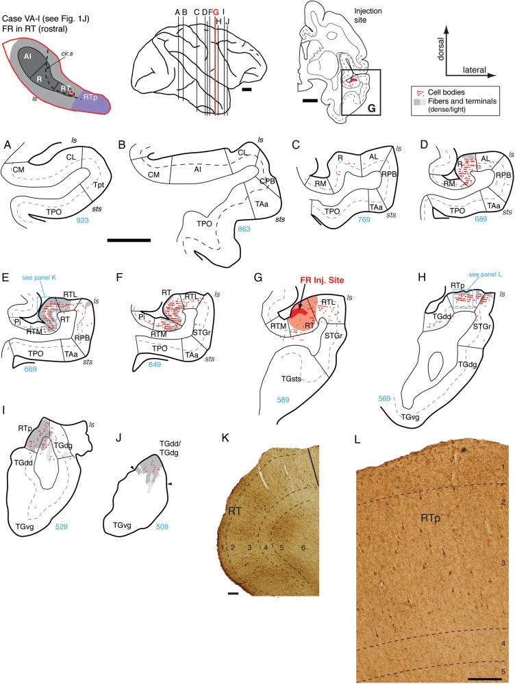 Figure 10.