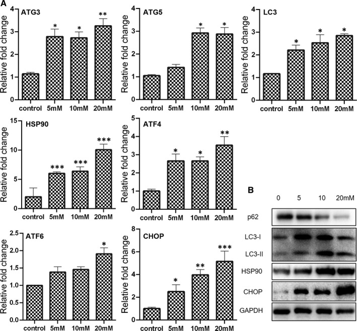 FIGURE 3