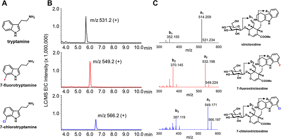 Figure 5.