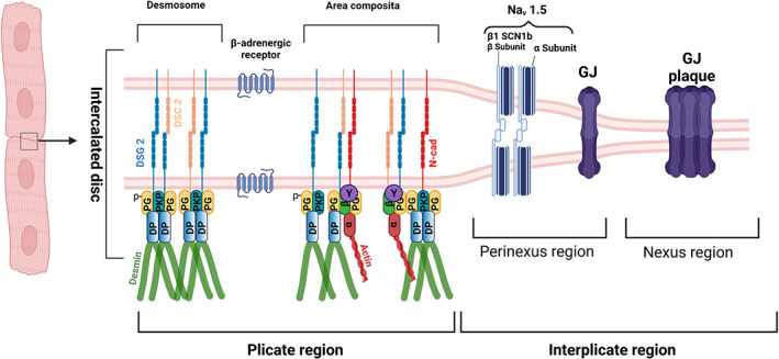 FIGURE 2