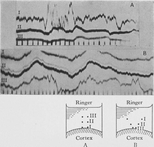 Fig. 13