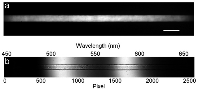 Fig. 2