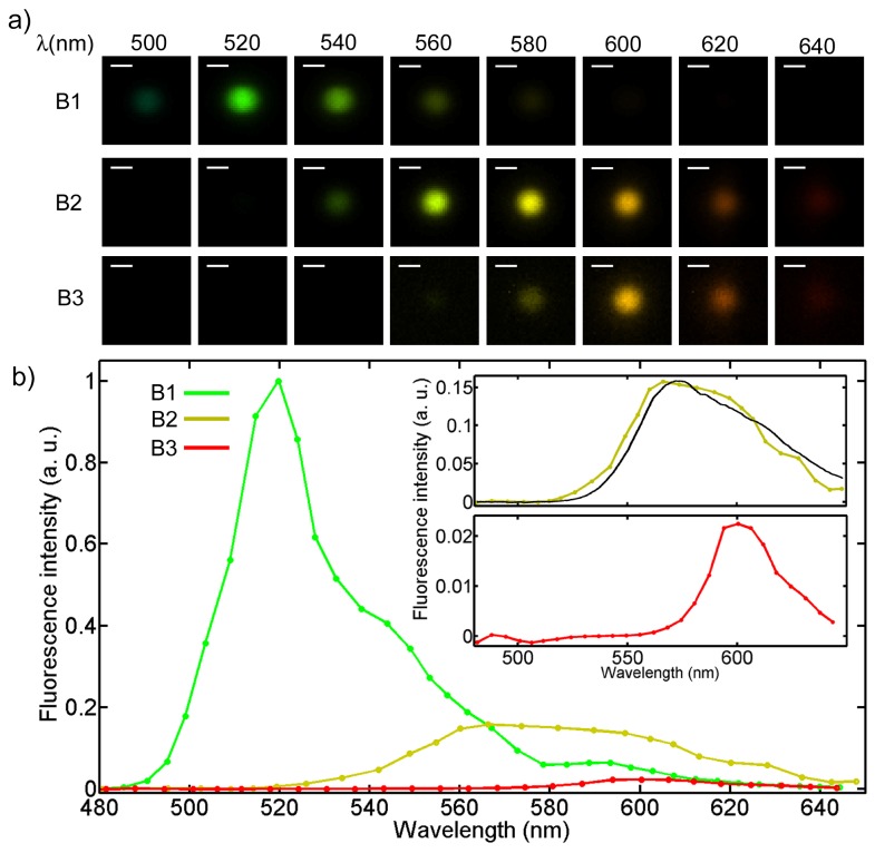 Fig. 3