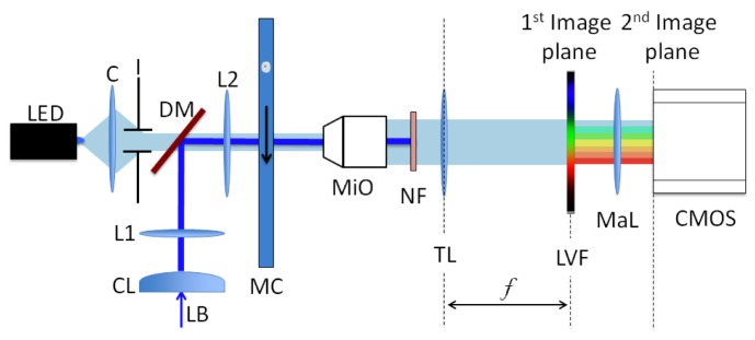 Fig. 1