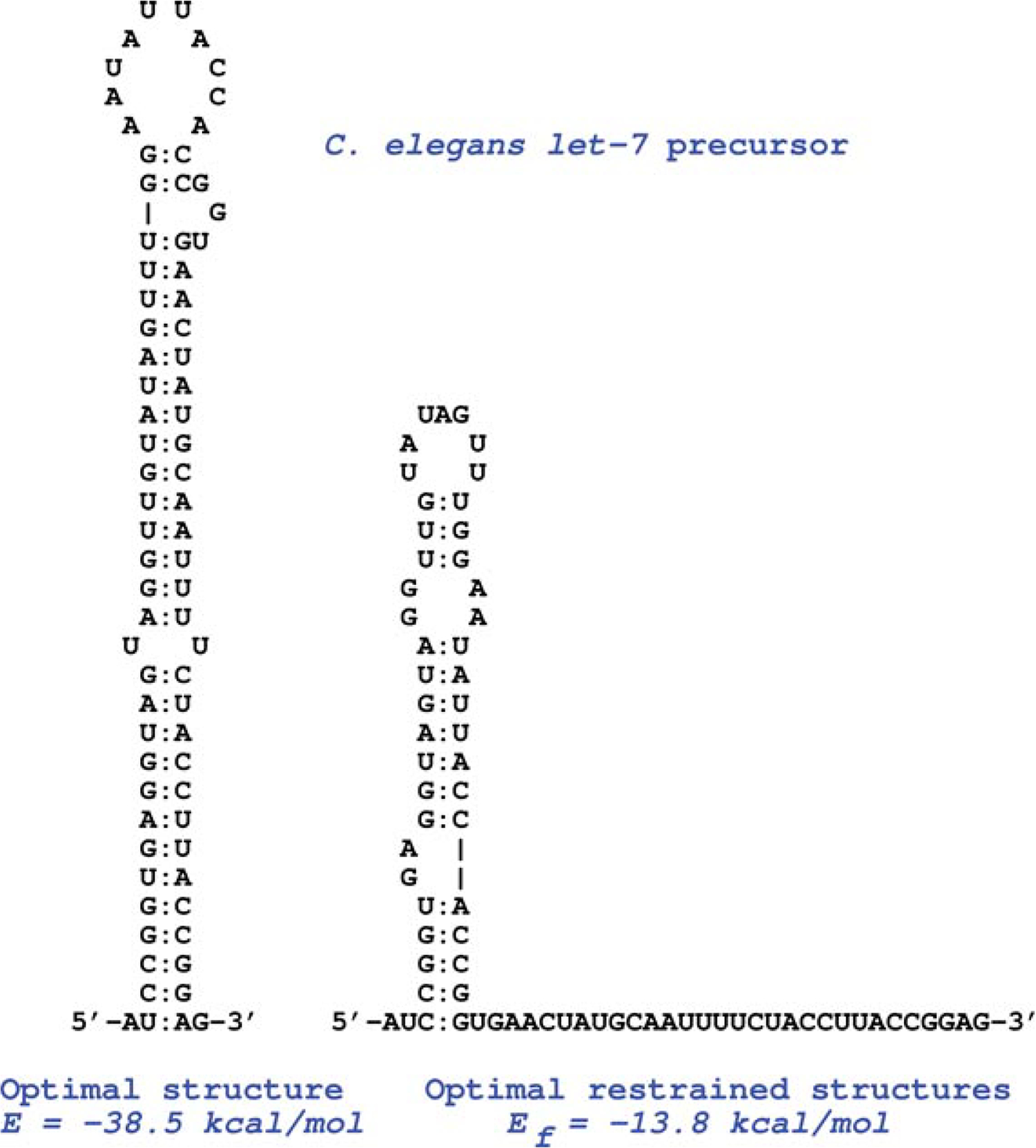 FIGURE 1 |