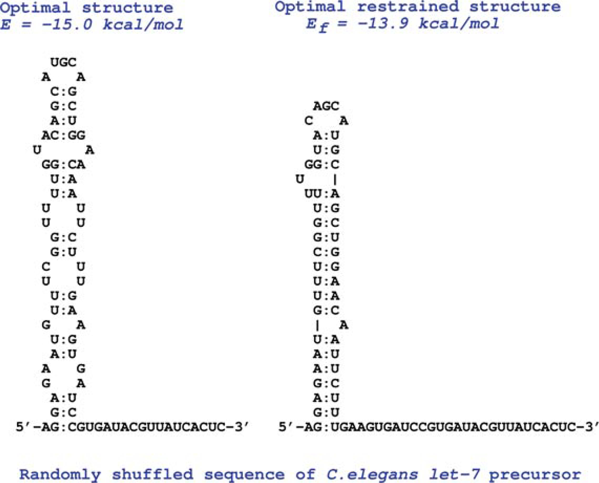 FIGURE 1 |