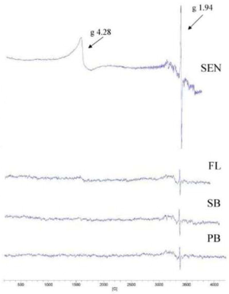 Fig. 7