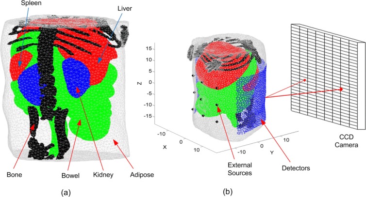 Fig. 1