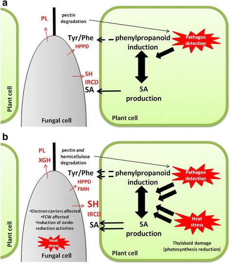 Fig. 10