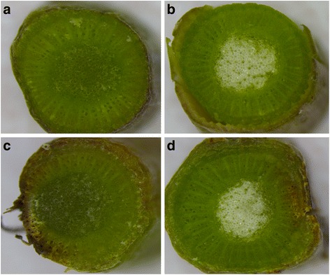 Fig. 9