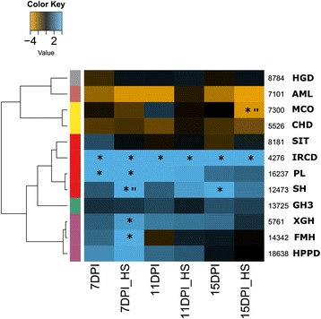 Fig. 7