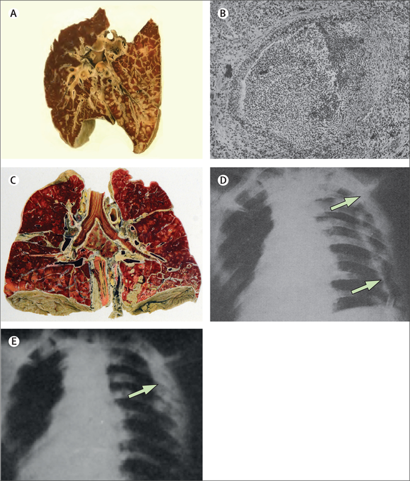 Figure3: