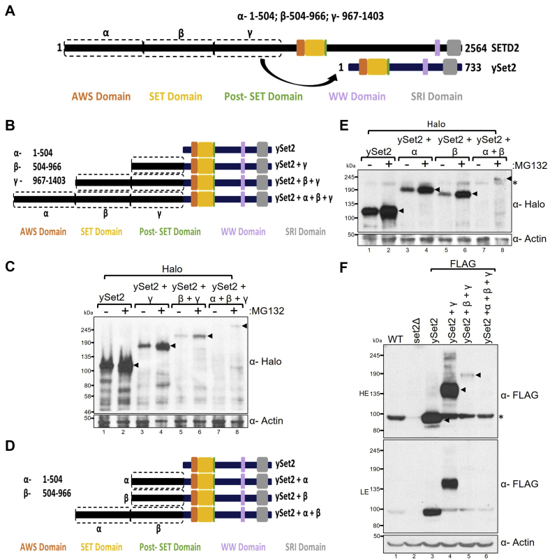 Figure 3