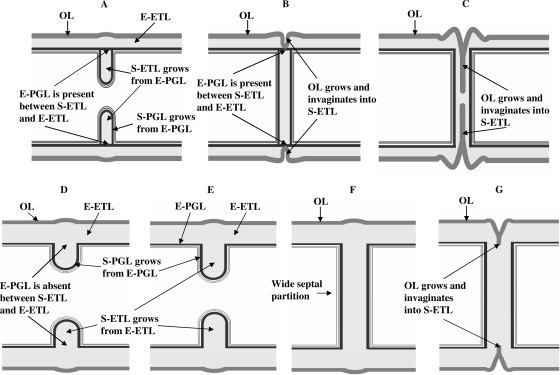 Fig 5