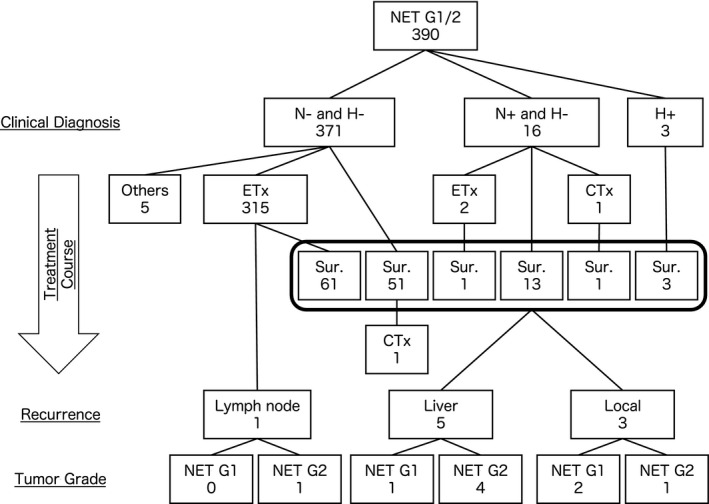 FIGURE 1