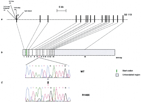 Figure  2