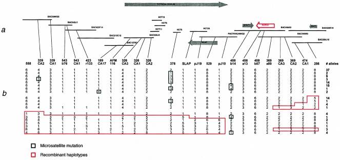 Figure  1