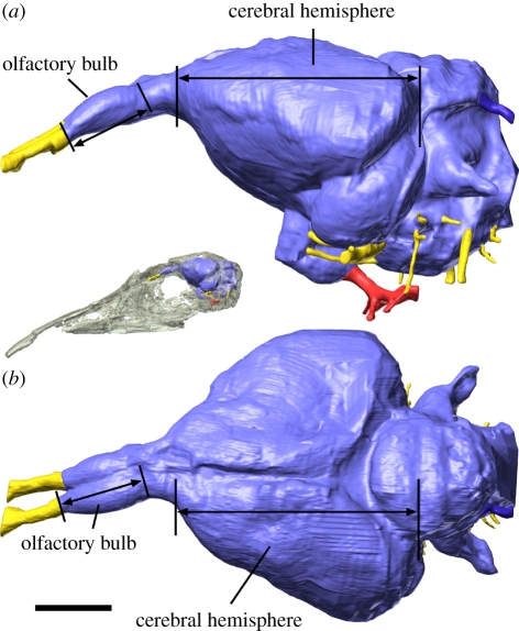 Figure 1.