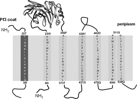 FIGURE 1.