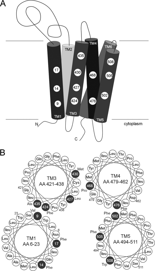 FIGURE 10.