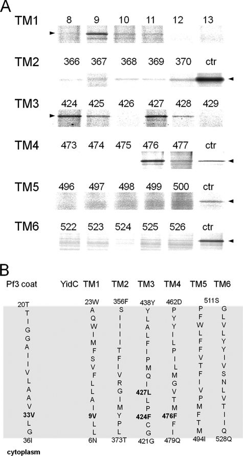 FIGURE 4.