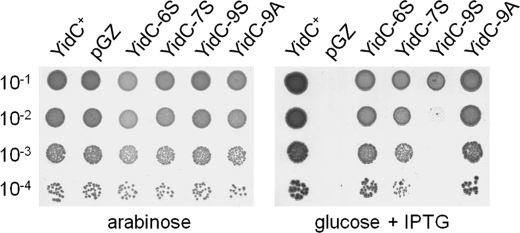 FIGURE 9.